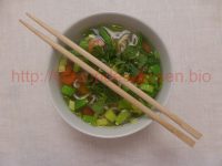 Deutsch-Chinesische Nudelsuppe