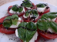 Mozzarella auf Tomaten mit Basilikum