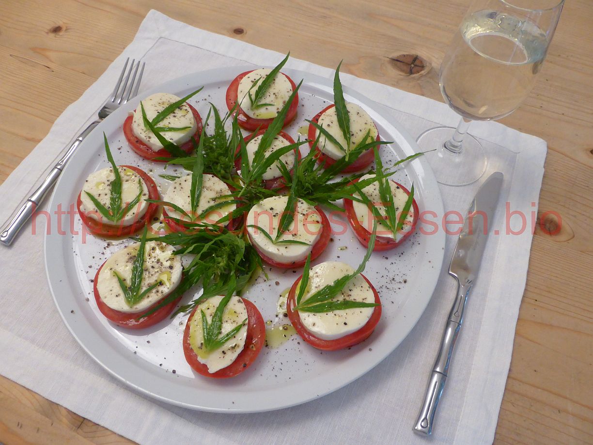 'Das Tomaten-Mozzarella-Projekt'