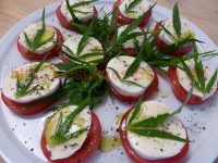 Tomaten mit Mozzarella und Hanf