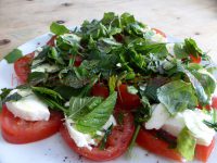 Tomaten, Mozzarella mit Kräutern