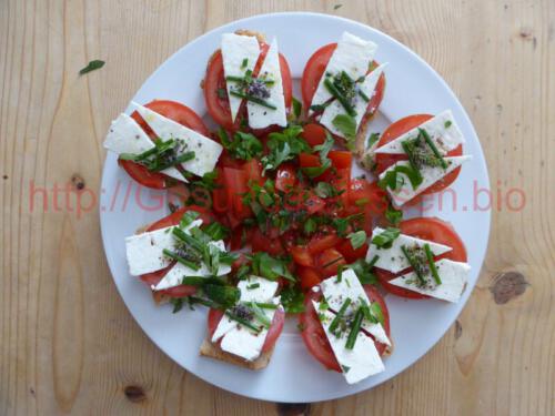 Feta-Tomate-Minze_03