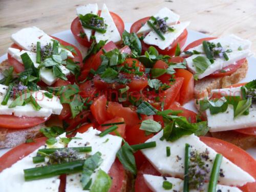 Feta-Tomate-Minze_04