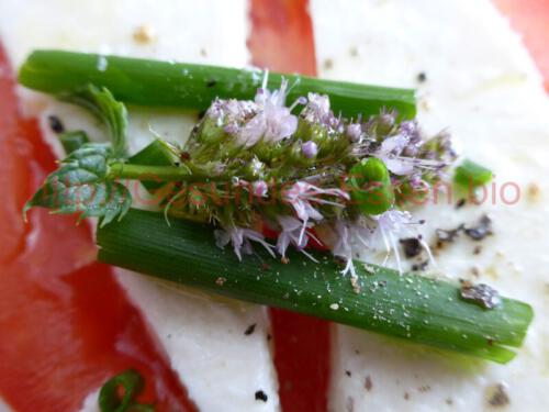 Feta-Tomate-Minze_06