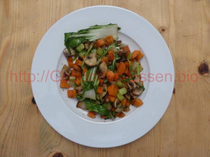 Gemüse_mit_Pilzen_08052017_2