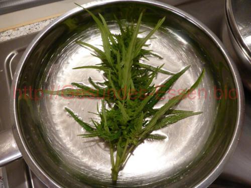 Hanf_Lammfilet_Vorderseite