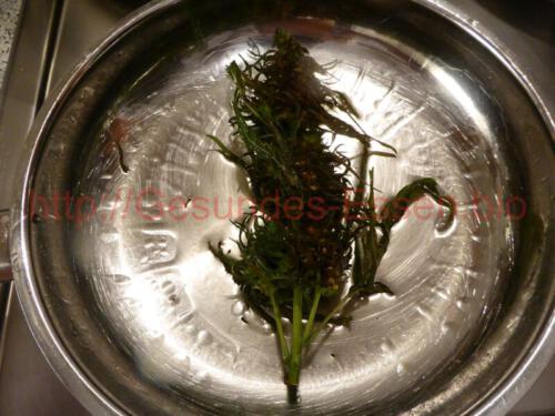 Hanf_Lammfilet_angrebraten