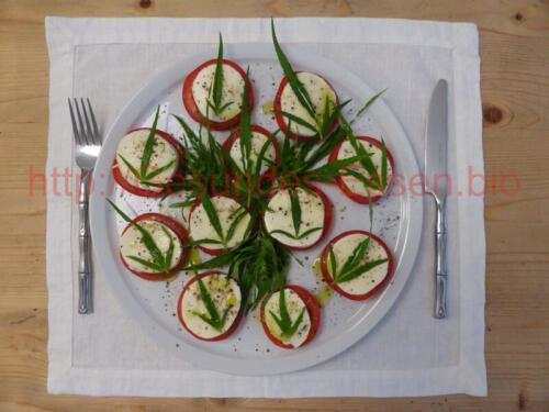 Hanf_Mozzarella_Teller