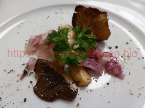 "Kräutersaitlinge - Vorspeise"