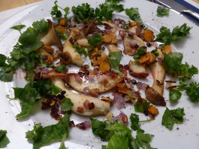 KräuterseitlingeSalat_29012017