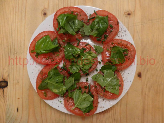 Mozzarella_Basilikum_Melisse_27052018_1