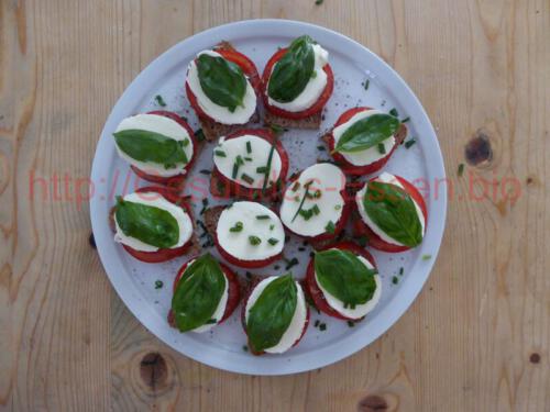 Mozzarella_Tomaten_Brot_6