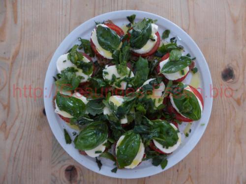 "Mozzarella mi Tomaten auf Brot"