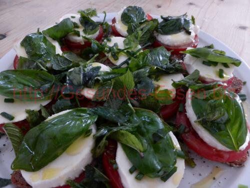 "Mozzarella mit Tomaten auf Brot"