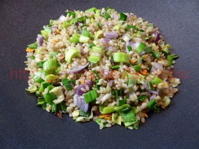 Reis_mit_Gemüse_09052017_1