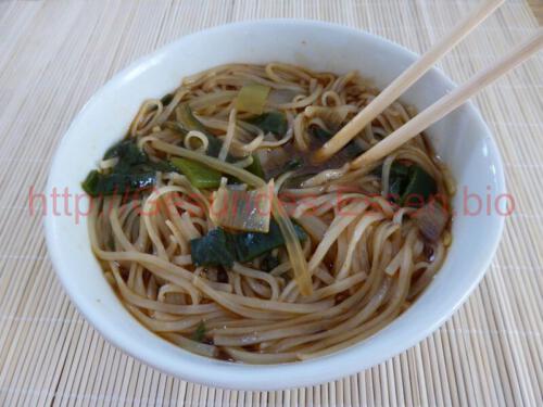 Reisnudeln_mit_Poree_u_Mangold_04052017