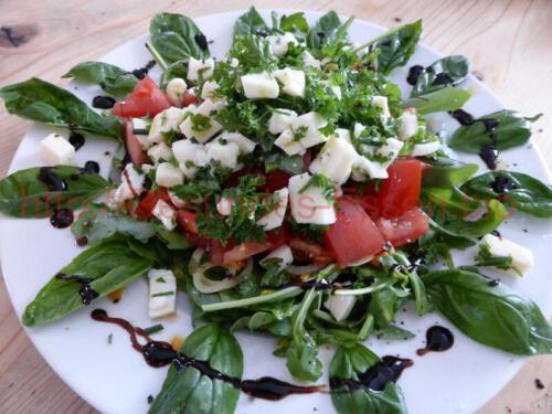 Salat_Öl_Essig_7