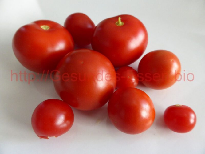 "Ein Tomaten-Kräutersalat entsteht 01"