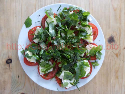 TomatenMozzarellaKräutern_03072018_Teller