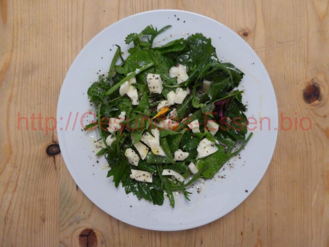 Wildkräutersalat_Teller_30052018