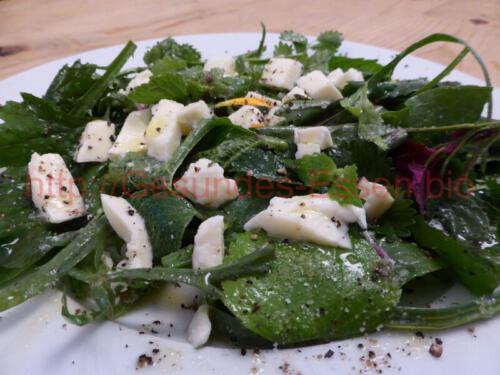 Wildkräutersalat_Übersicht_30052018
